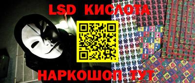 прущие грибы Лесосибирск