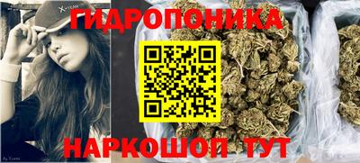 прущие грибы Лесосибирск