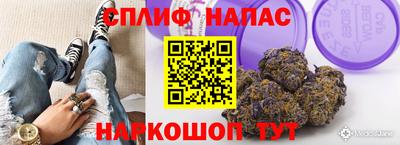 мет Ливны