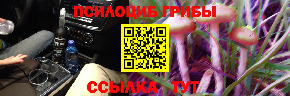 Псилоцибиновые грибы GOLDEN TEACHER  Псилоцибиновые грибы Cubensis  Вход с VPN  Усолье-Сибирское 